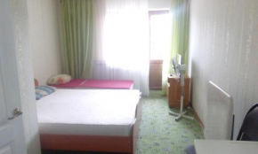 Guest House on Nekrasova 83